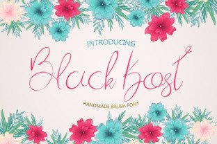 Black Kost: A Handmade Brush Font for Web Design
