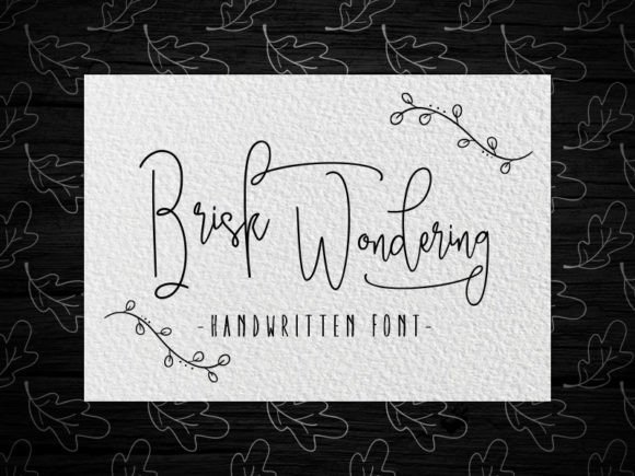 Elevate Your Web Design with Brisk Wondering Font