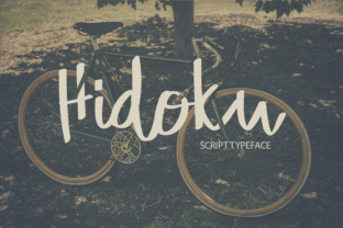 Enhance Your Brand with Hidoku: A Retro-Modern Script Font