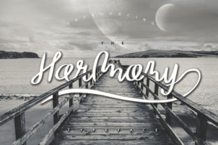 Enhance Your Brand with The Harmony Font