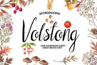Volstong: The Perfect Script Handwritten Font for Your Brand