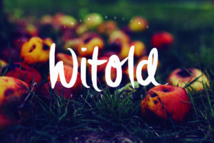 Witold: A Handbrushed Font for Elegant Web Design
